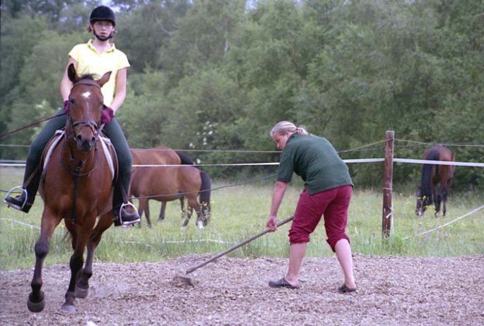 Training und Platzpflege von Merle und Alex