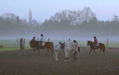 abendliches Reiten