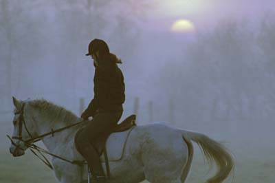 abendliches Training