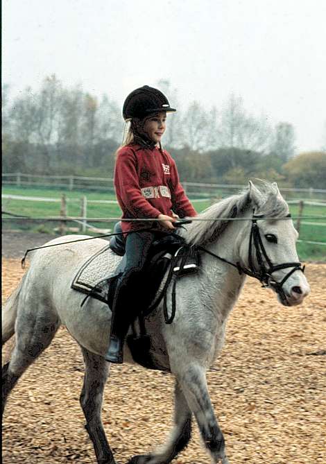 schnelles Reiten